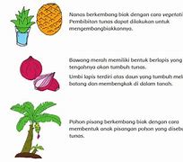 Sebutkan 2 Contoh Tumbuhan Yang Berkembang Biak Dengan Stolon